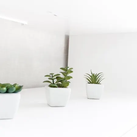 Apartment Centrum Valga