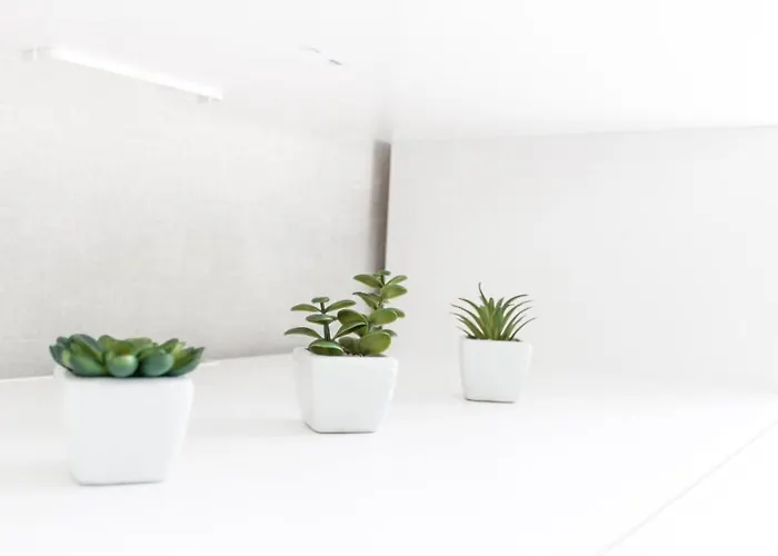 Apartment Centrum Valga